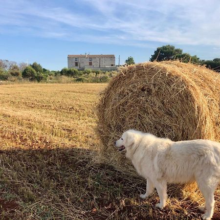 Agriturismo La Palascia Masseria Agreste Otranto Luaran gambar