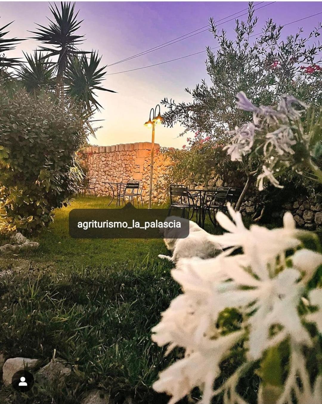 Agriturismo La Palascia Masseria Agreste Otranto Luaran gambar