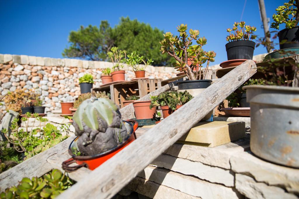 Agriturismo La Palascia Masseria Agreste Otranto Bilik gambar