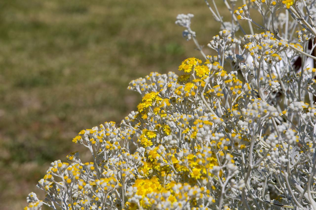 Agriturismo La Palascia Masseria Agreste Otranto Luaran gambar