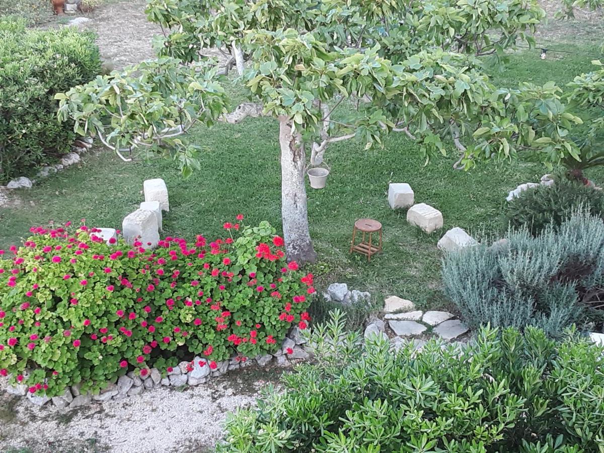 Agriturismo La Palascia Masseria Agreste Otranto Luaran gambar